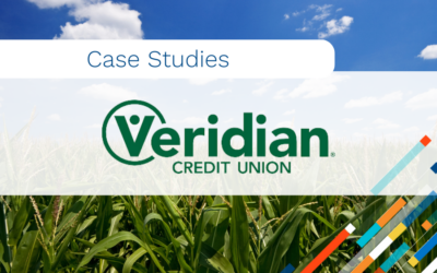 Success with Analytics: Auto Loan Savings for Members